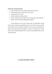 Netektis mirties atveju 6 puslapis