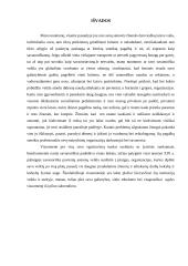 Nevyriausybinės ir savanoriškos organizacijos 13 puslapis