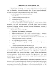 Nevyriausybinės ir savanoriškos organizacijos 4 puslapis