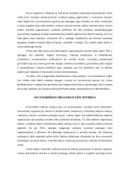 Nevyriausybinės ir savanoriškos organizacijos 8 puslapis