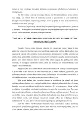 Nevyriausybinės ir savanoriškos organizacijos 9 puslapis
