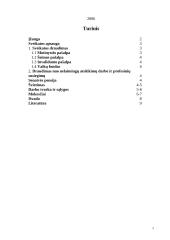 Nyderlandų šalies socialinė apsaugos sistema 2 puslapis