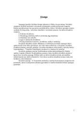 Nyderlandų šalies socialinė apsaugos sistema 3 puslapis