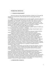 Nyderlandų šalies socialinė apsaugos sistema 4 puslapis