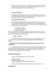 Nyderlandų šalies socialinė apsaugos sistema 5 puslapis