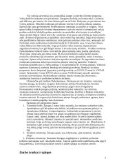 Nyderlandų šalies socialinė apsaugos sistema 6 puslapis