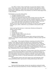 Nyderlandų šalies socialinė apsaugos sistema 7 puslapis