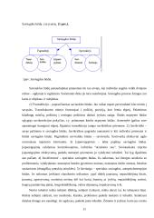 Nuolatinis savęs ir darbuotojų tobulinimas 11 puslapis