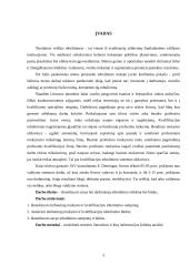 Nuolatinis savęs ir darbuotojų tobulinimas 3 puslapis