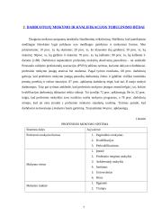 Nuolatinis savęs ir darbuotojų tobulinimas 7 puslapis