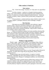 Odos sandara ir funkcijos 2 puslapis