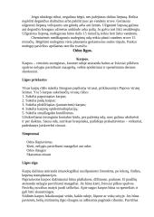 Odos sandara ir funkcijos 4 puslapis