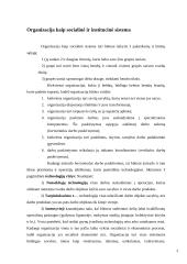 Organizacija kaip socialinė ir institucinė sistema 2 puslapis