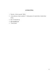 Organizacija kaip socialinė ir institucinė sistema 11 puslapis