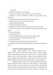 Organizacija kaip socialinė ir institucinė sistema 5 puslapis