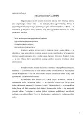 Organizacija kaip socialinė ir institucinė sistema 6 puslapis