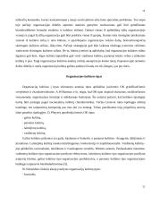 Organizacijos kultūra 11 puslapis