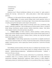 Organizacijos kultūra 12 puslapis