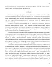 Organizacijos kultūra 13 puslapis