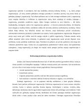 Organizacijos kultūra 14 puslapis