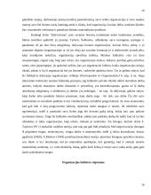 Organizacijos kultūra 16 puslapis