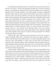 Organizacijos kultūra 17 puslapis