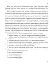 Organizacijos kultūra 19 puslapis