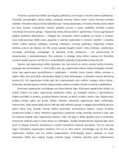 Organizacijos kultūra 3 puslapis