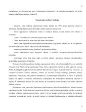 Organizacijos kultūra 6 puslapis