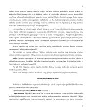 Organizacijos kultūra 9 puslapis