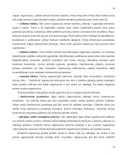 Organizacijos kultūra 10 puslapis