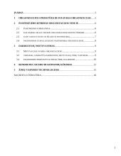 Organizacijos kultūros struktūra 2 puslapis