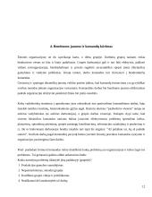 Organizacijos kultūros struktūra 12 puslapis