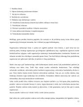 Organizacijos kultūros struktūra 13 puslapis