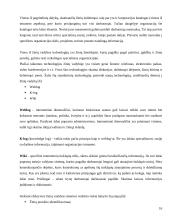 Organizacijos kultūros struktūra 16 puslapis