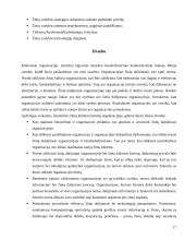 Organizacijos kultūros struktūra 17 puslapis