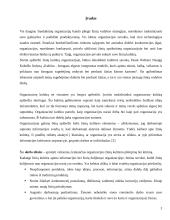 Organizacijos kultūros struktūra 3 puslapis