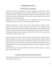 Organizacijos kultūros struktūra 9 puslapis