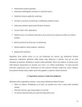 Organizacijos kultūros struktūra 10 puslapis