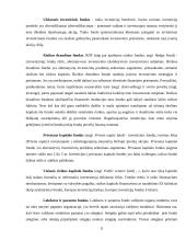 Organizacijos samprata ir klasifikavimas 11 puslapis