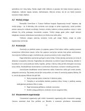 Organizacijos samprata ir klasifikavimas 12 puslapis