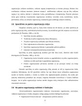 Organizacijos samprata ir klasifikavimas 13 puslapis