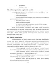 Organizacijos samprata ir klasifikavimas 16 puslapis
