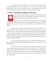 Organizacijos samprata ir klasifikavimas 20 puslapis