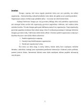 Organizacijos samprata ir klasifikavimas 3 puslapis