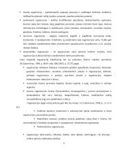 Organizacijos samprata ir klasifikavimas 6 puslapis