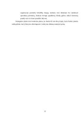 Organizacijos strateginis valdymas 12 puslapis