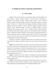 Organizacijos strateginis valdymas 13 puslapis