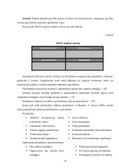Organizacijos strateginis valdymas 14 puslapis