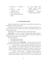 Organizacijos strateginis valdymas 15 puslapis